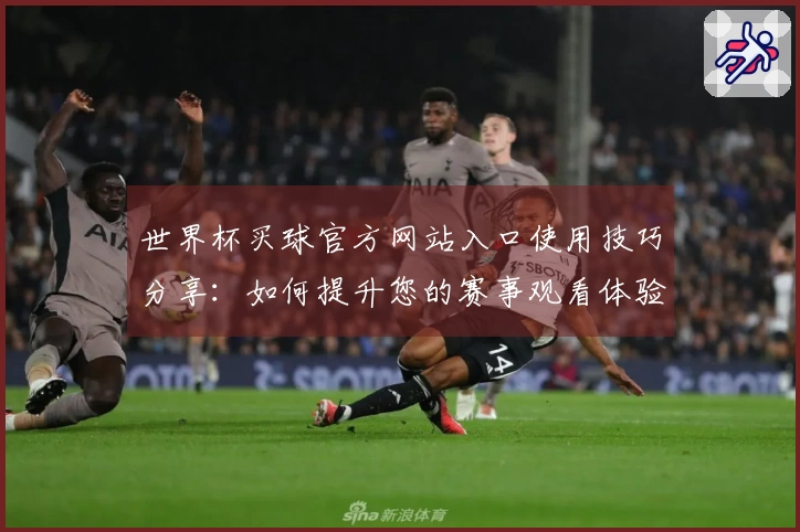 世界杯买球官方网站入口使用技巧分享：如何提升您的赛事观看体验