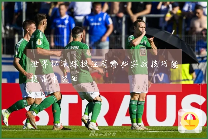 世界杯滚球投注有哪些实战技巧能提高中奖率
