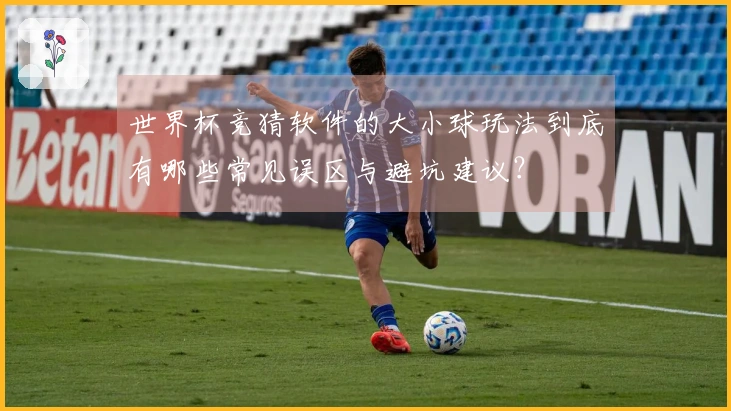 世界杯竞猜软件的大小球玩法到底有哪些常见误区与避坑建议？