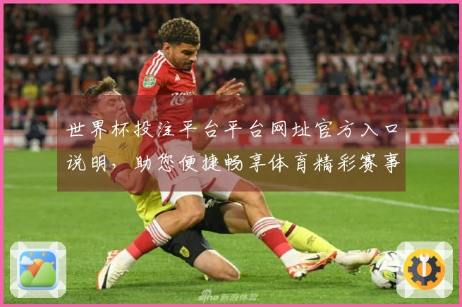 世界杯投注平台平台网址官方入口说明，助您便捷畅享体育精彩赛事直播体验