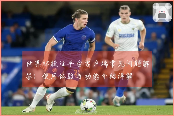 世界杯投注平台客户端常见问题解答：使用体验与功能介绍详解