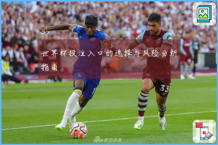 世界杯投注入口的选择与风险分析指南