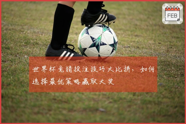 世界杯竞猜投注技巧大比拼，如何选择最优策略赢取大奖