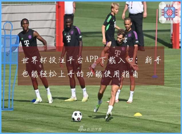 世界杯投注平台APP下载入口：新手也能轻松上手的功能使用指南