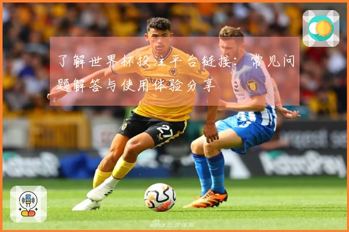 了解世界杯投注平台链接：常见问题解答与使用体验分享