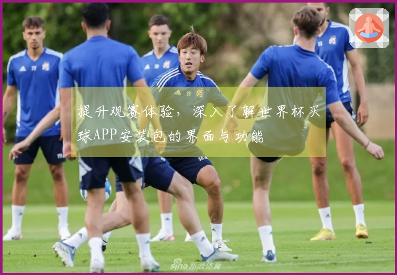 提升观赛体验，深入了解世界杯买球APP安装包的界面与功能