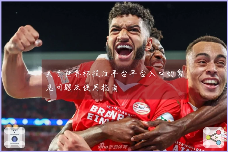 关于世界杯投注平台平台入口的常见问题及使用指南