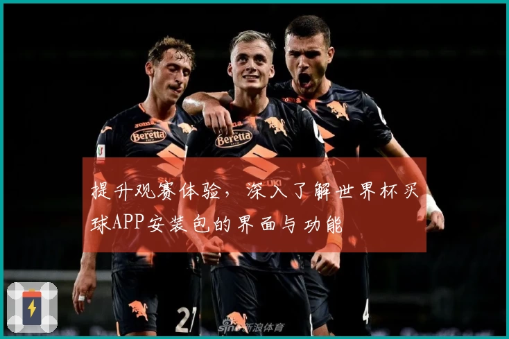 提升观赛体验，深入了解世界杯买球APP安装包的界面与功能