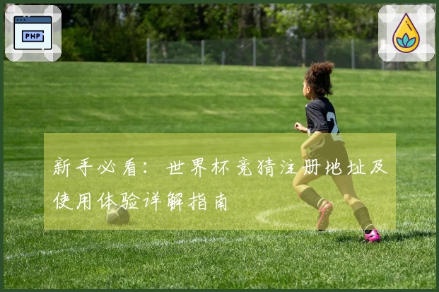 新手必看：世界杯竞猜注册地址及使用体验详解指南