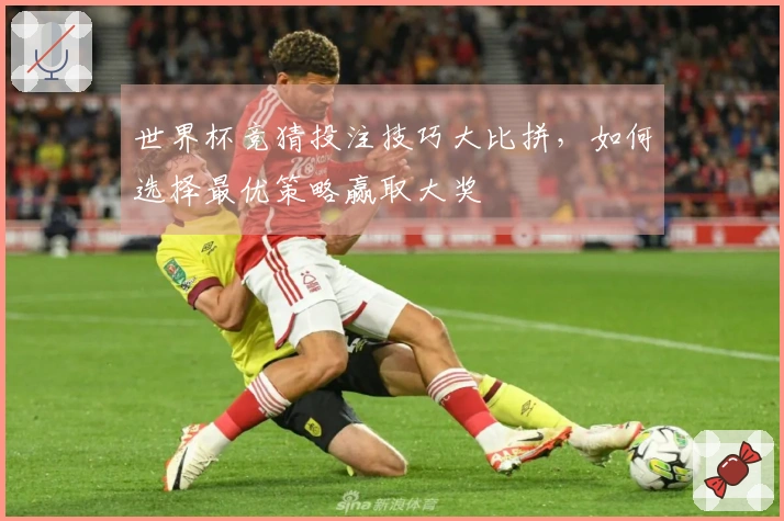 世界杯竞猜投注技巧大比拼，如何选择最优策略赢取大奖