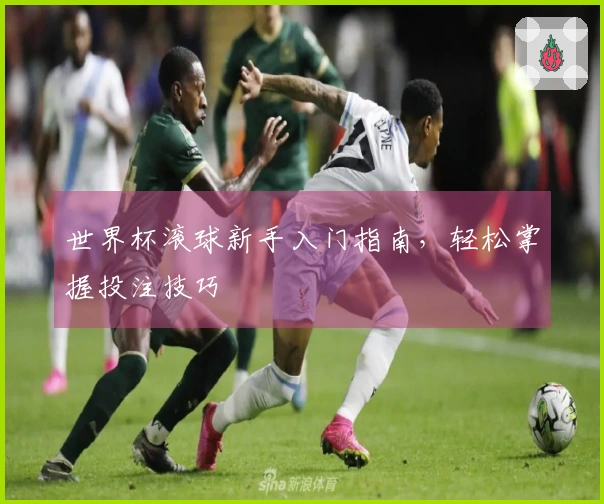 世界杯滚球新手入门指南，轻松掌握投注技巧