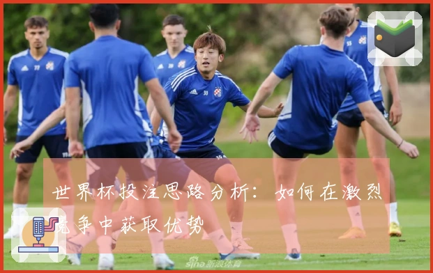 世界杯投注思路分析：如何在激烈竞争中获取优势