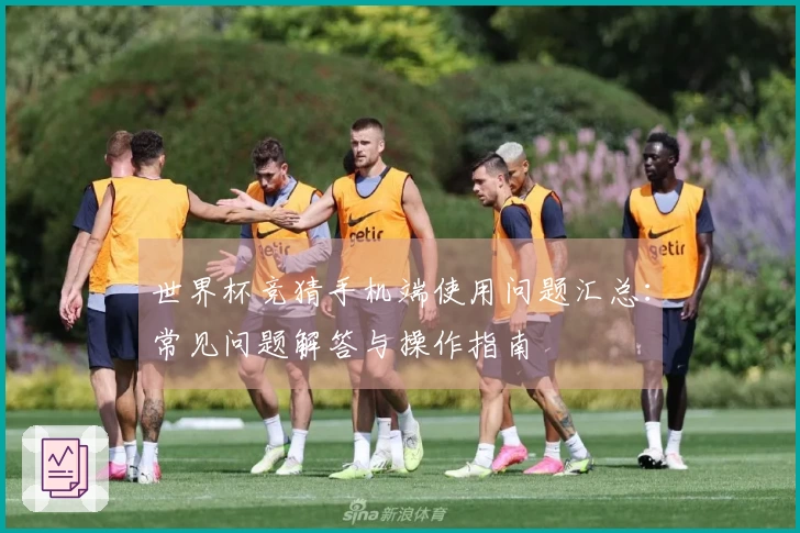 世界杯竞猜手机端使用问题汇总：常见问题解答与操作指南