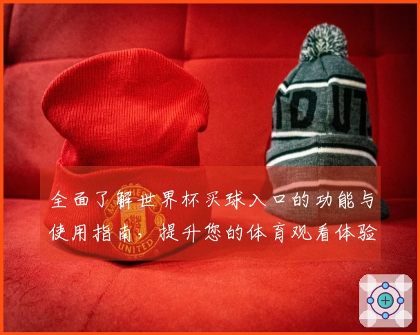 全面了解世界杯买球入口的功能与使用指南，提升您的体育观看体验
