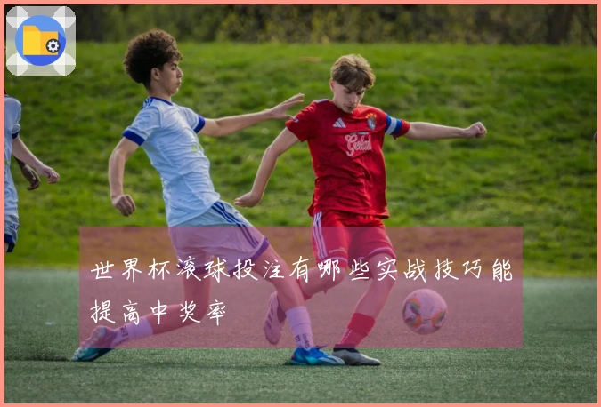 世界杯滚球投注有哪些实战技巧能提高中奖率