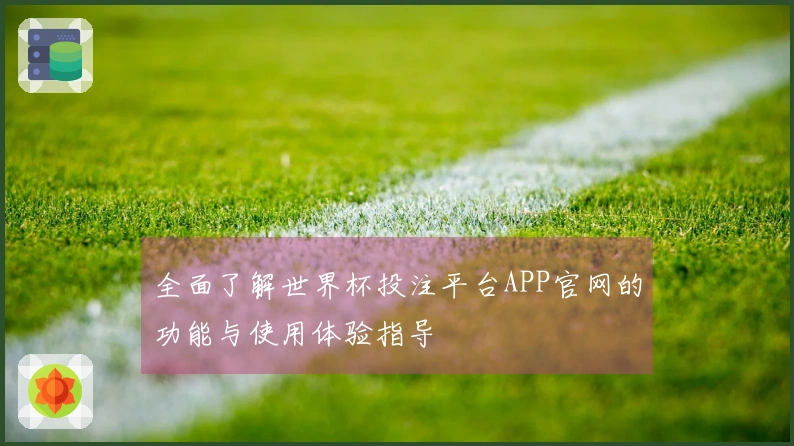 全面了解世界杯投注平台APP官网的功能与使用体验指导