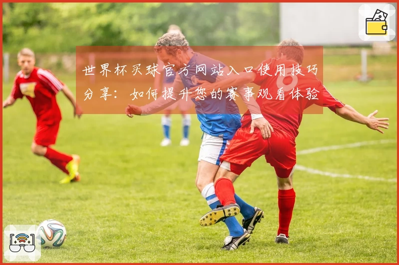 世界杯买球官方网站入口使用技巧分享：如何提升您的赛事观看体验