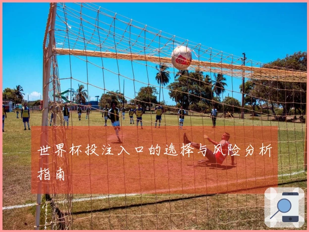 世界杯投注入口的选择与风险分析指南