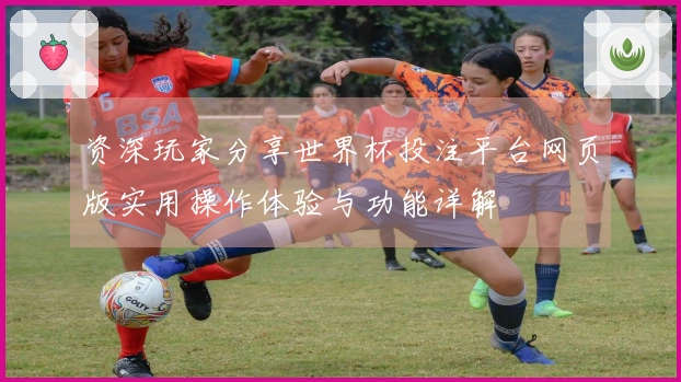 资深玩家分享世界杯投注平台网页版实用操作体验与功能详解