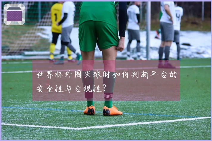 世界杯外围买球时如何判断平台的安全性与合规性？