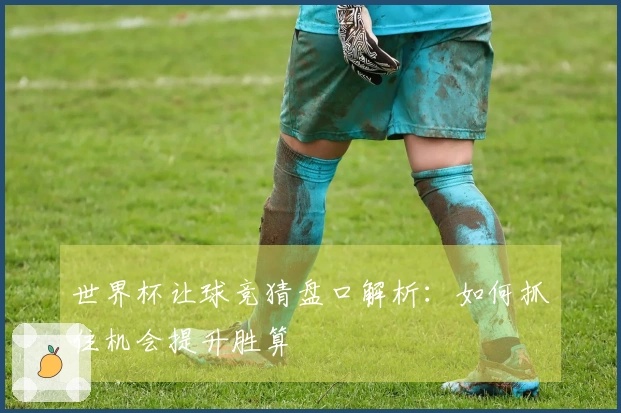 世界杯让球竞猜盘口解析：如何抓住机会提升胜算