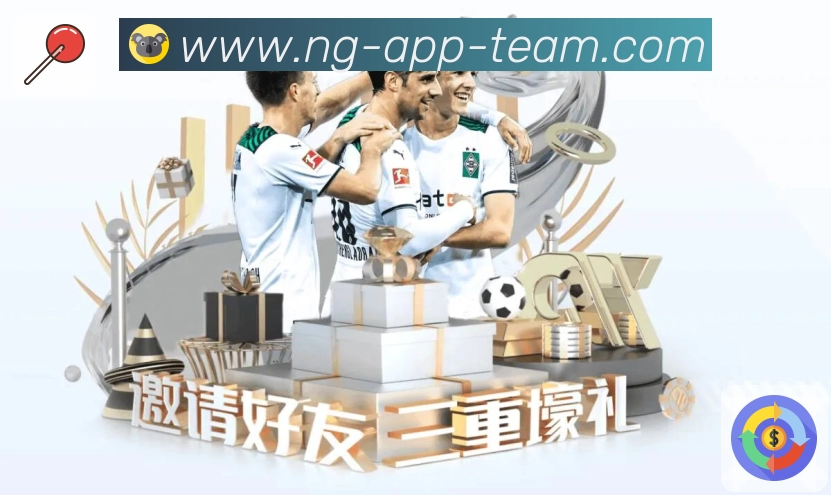 NG体育运营支持